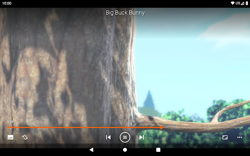 VLC Media Player APK 10