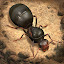 Image miniature
